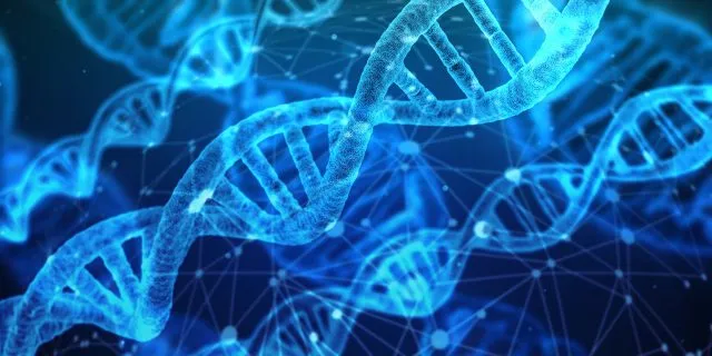 Test DNA na pochodzenie - w jakim celu się go wykonuje?